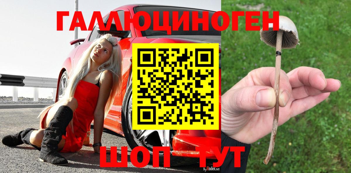 Мурманск  Галлюциногенные грибы Psilocybe  Вход с VPN 